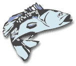 Precios del Pescado. Productos Pesqueros